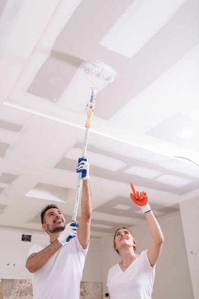 Best Ceiling Drywall Installation  in Kamas, UT